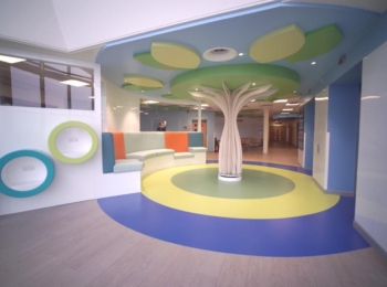 THE PSYCHOLOGY OF COLOUR AT ROYAL ABERDEEN CHILDREN’S HOSPITAL