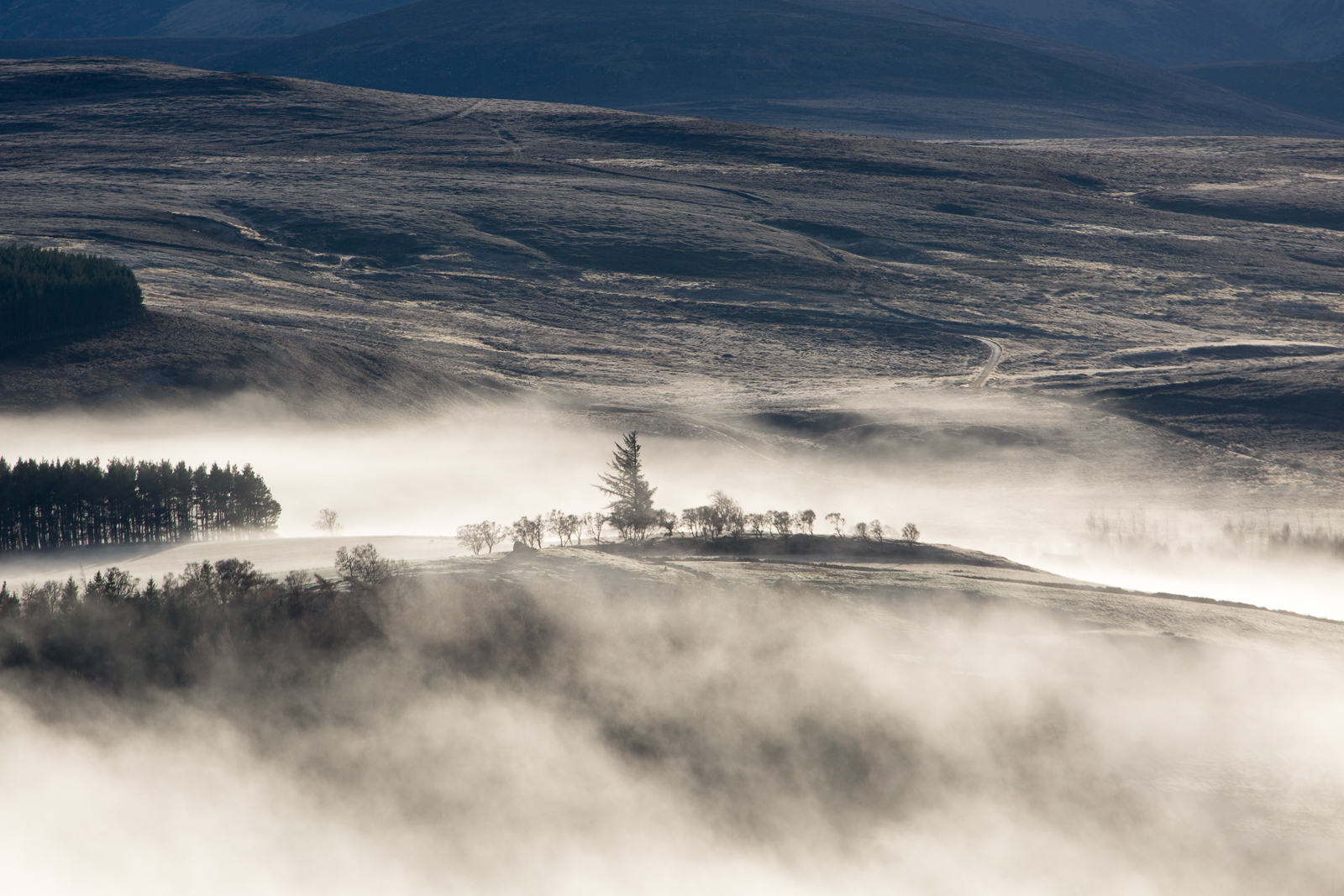 TOR landscape — Cairngorms Scotland — image©Ben Addy
