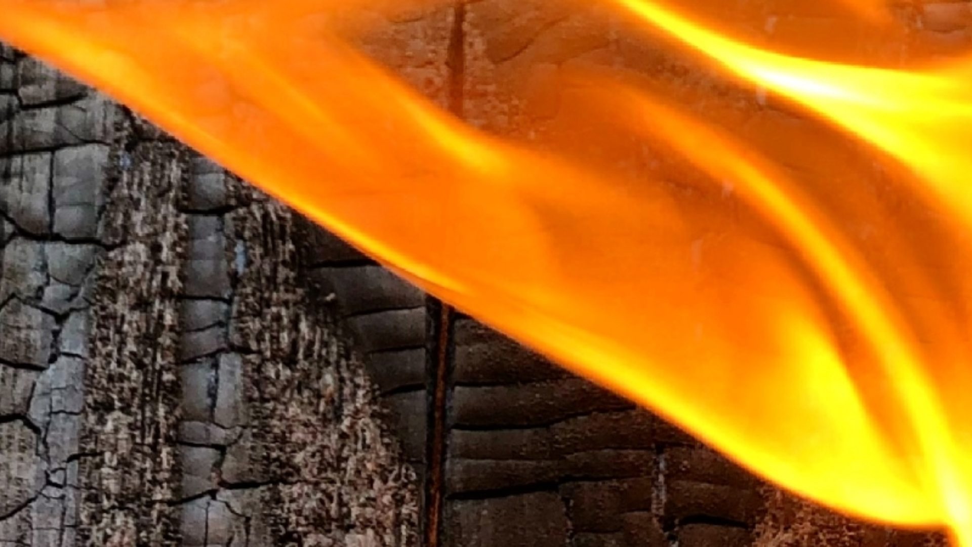 Tor workshop Scotland — firing timber