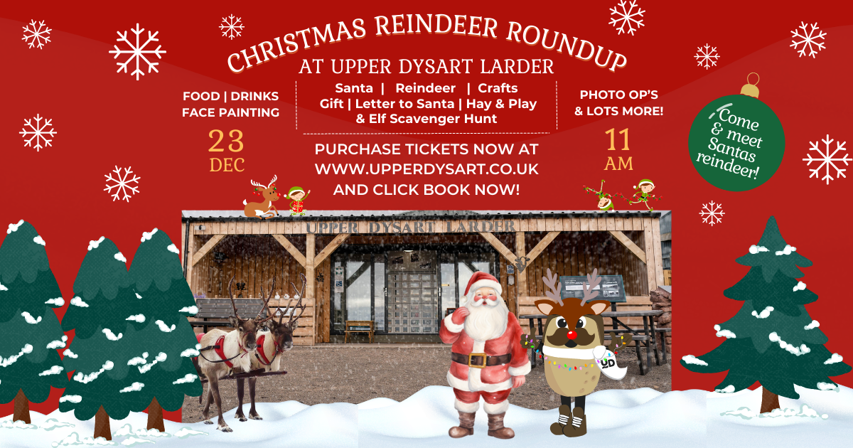 Christmas Reindeer Roundup at Upper Dysart Larder, Lunan Bay, Angus, Scotland