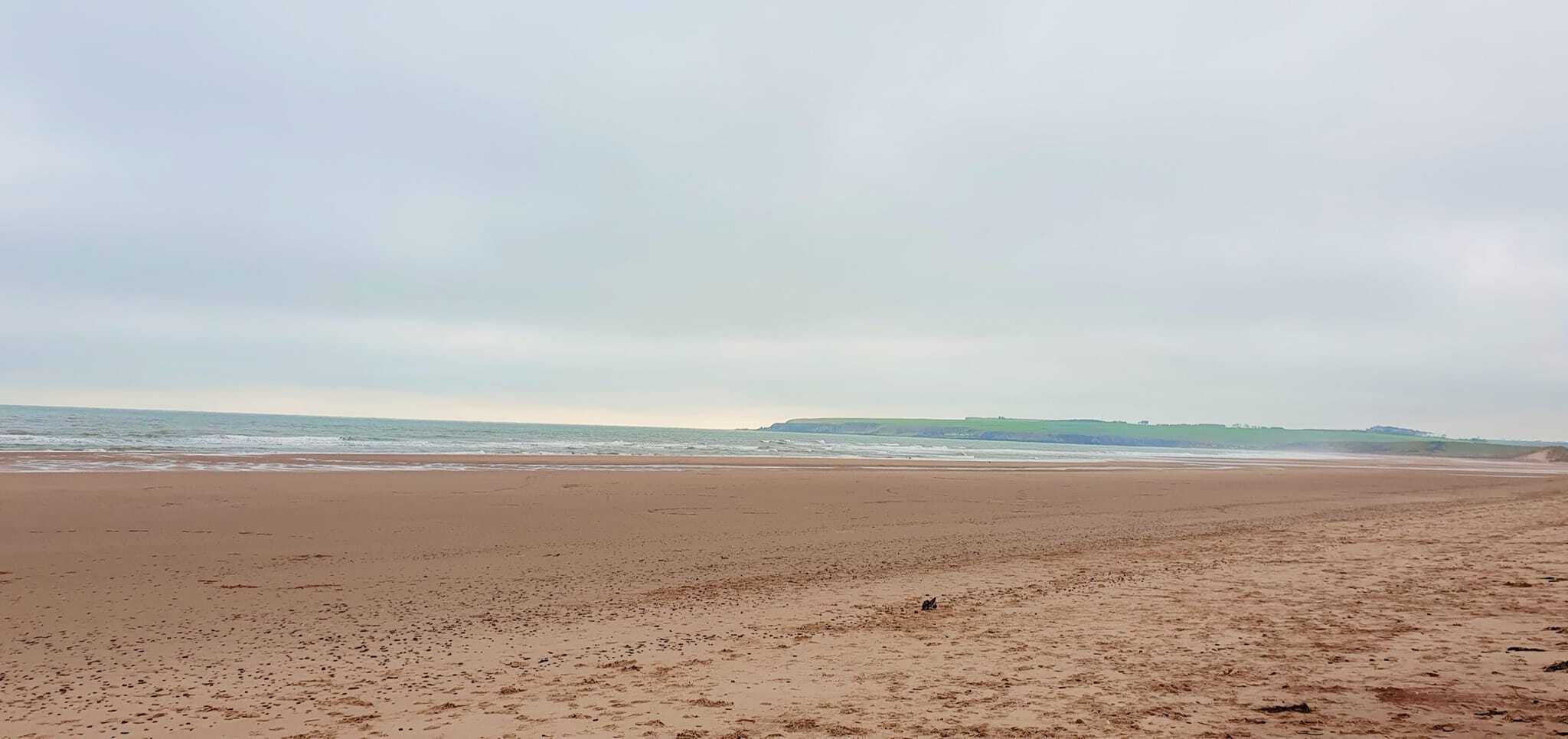 Lunan Bay litter pick — November 2022, Upper Dysart Larder