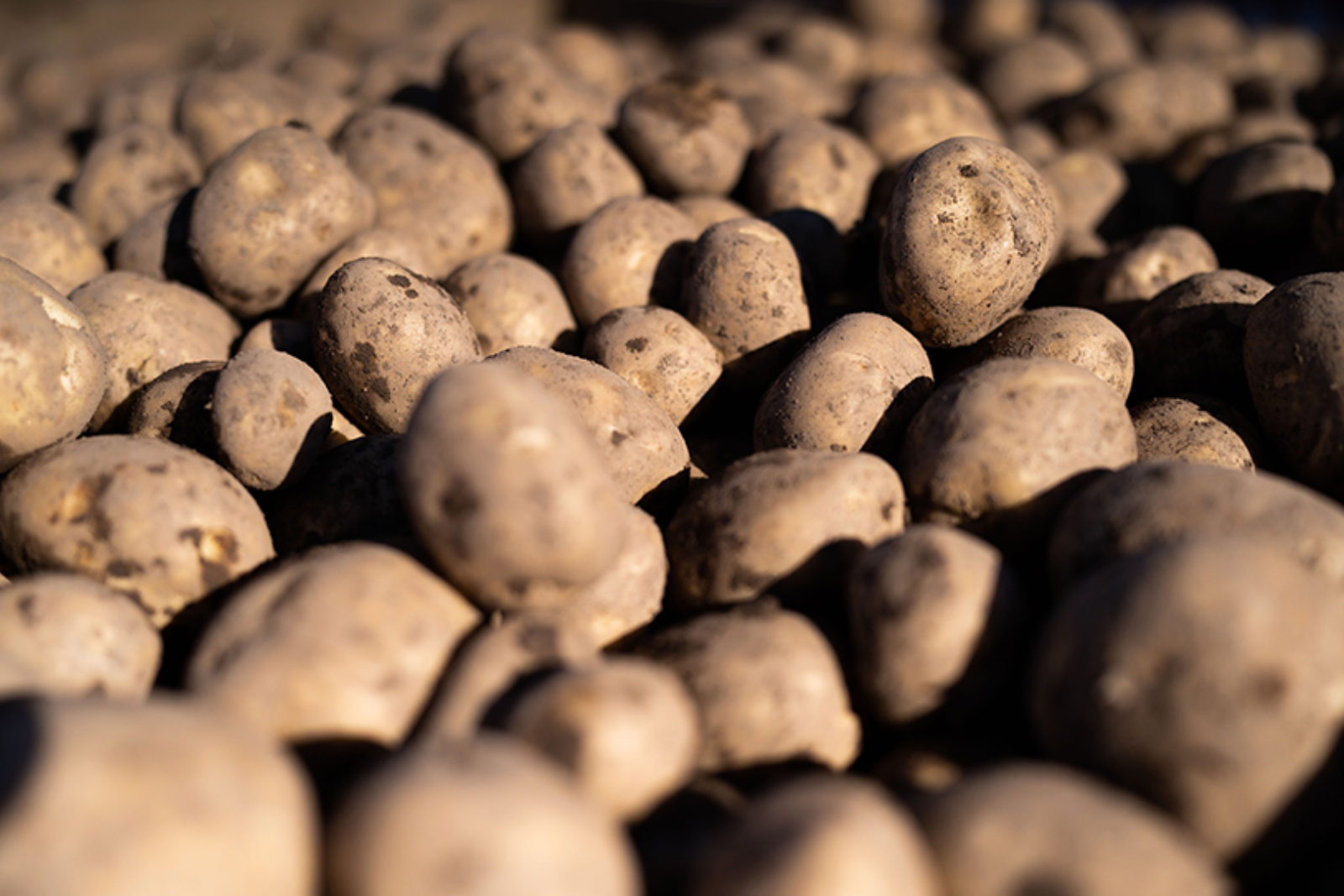 Upper Dysart Photography 58