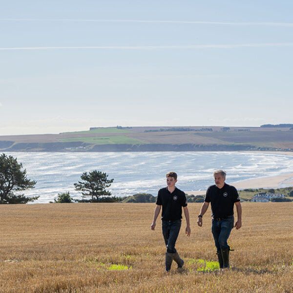 Field Upper Dysart Larder Angus Scotland 01