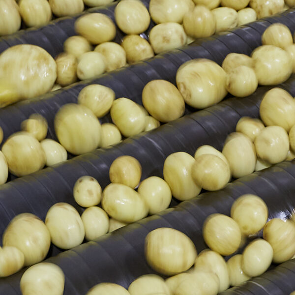 Washing Potatoes Upper Dysart Larder