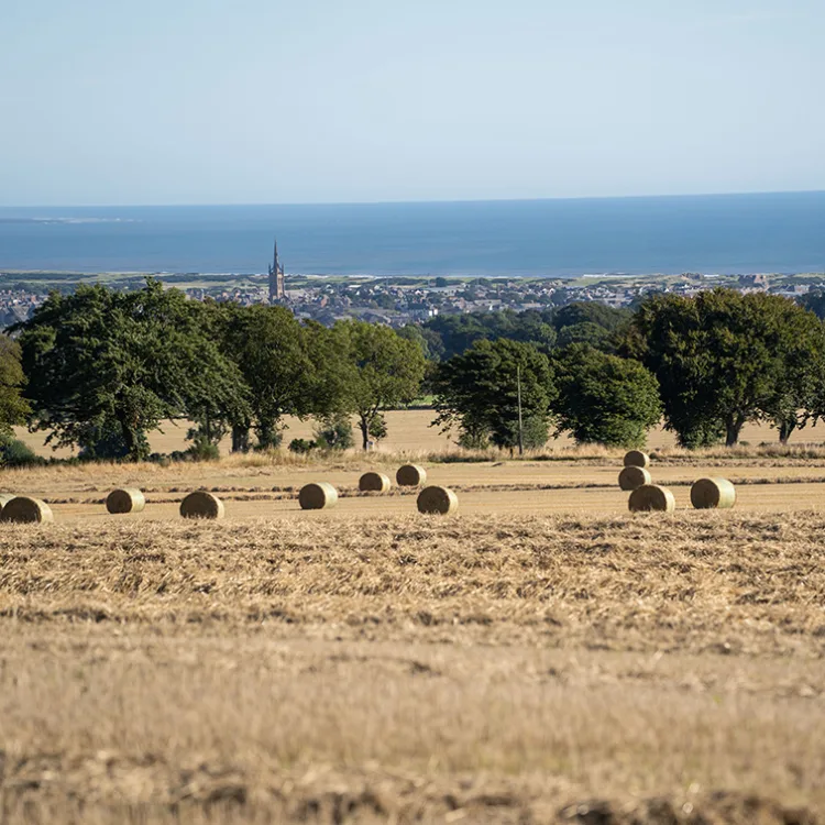 Upper Dysart Farm Montrose Angus Scotland