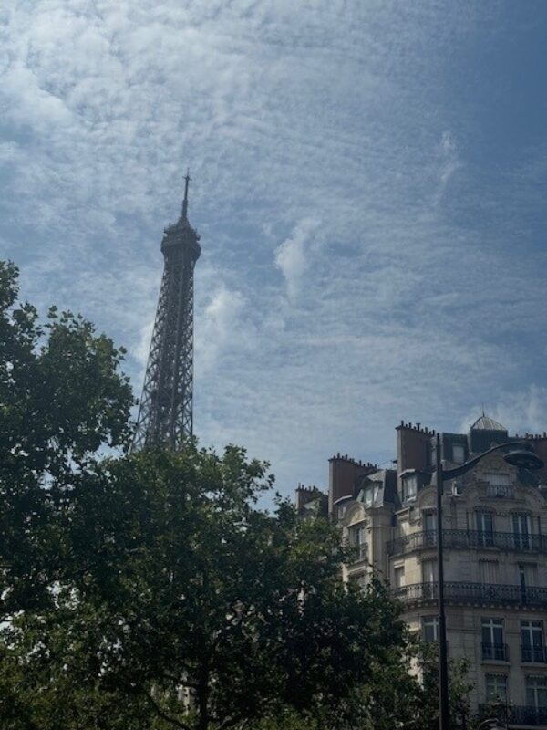 Paris skyline 2