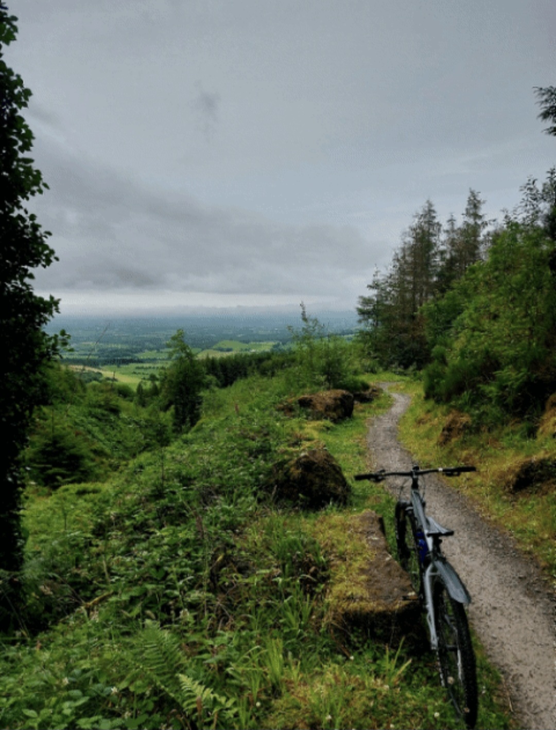 Ballyhoura Farm Escape Trail