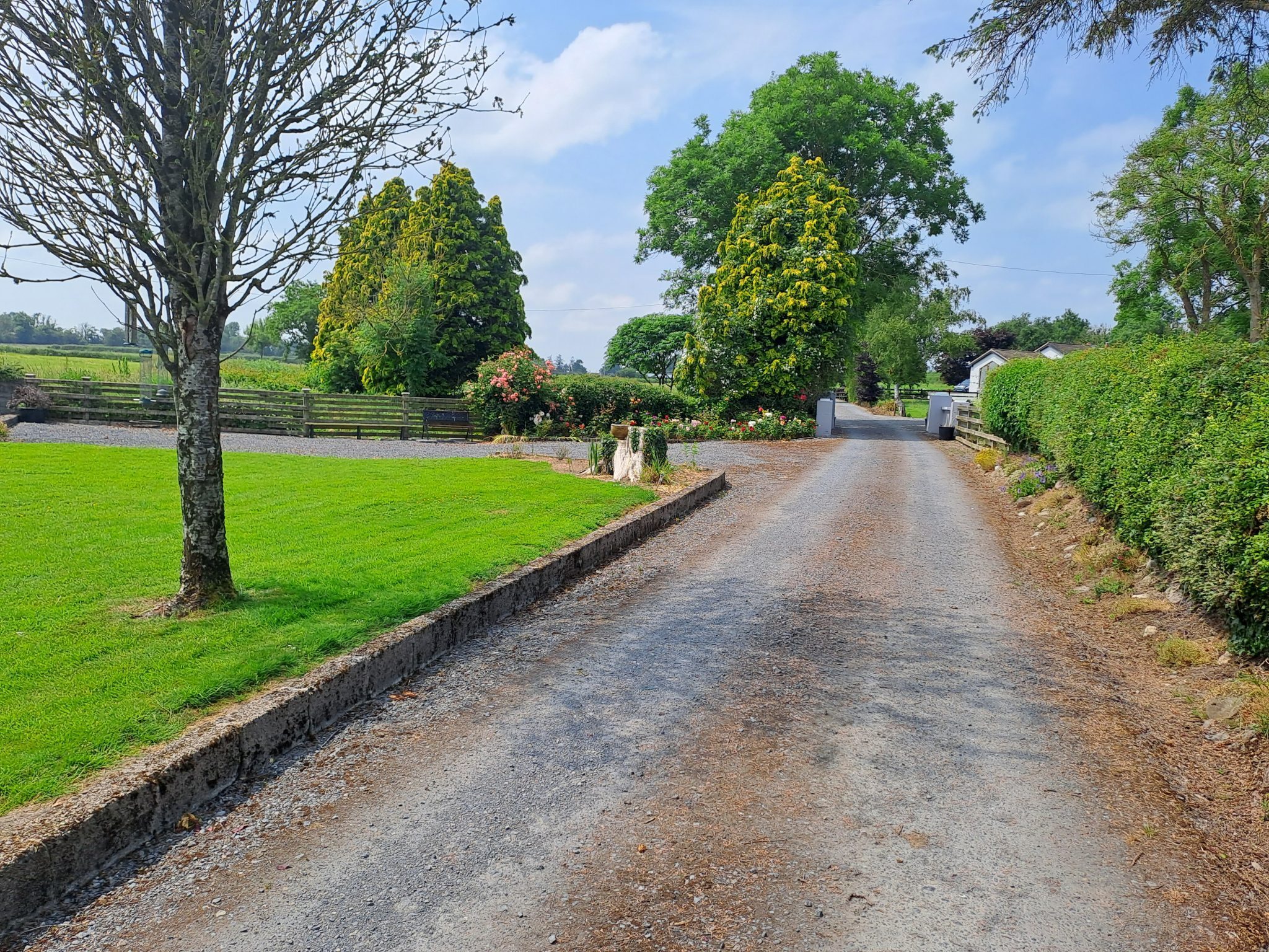 Carrigmore Farm Driveway