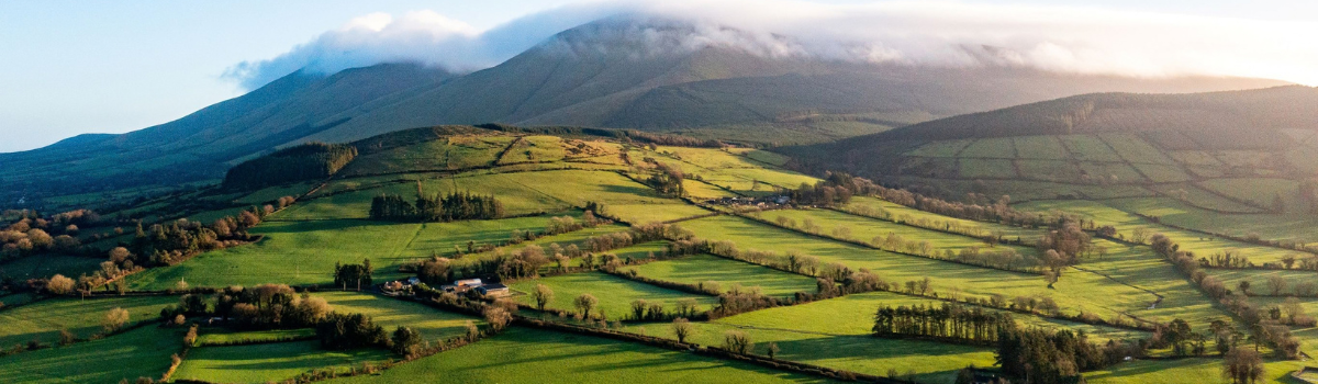 Galtees.png