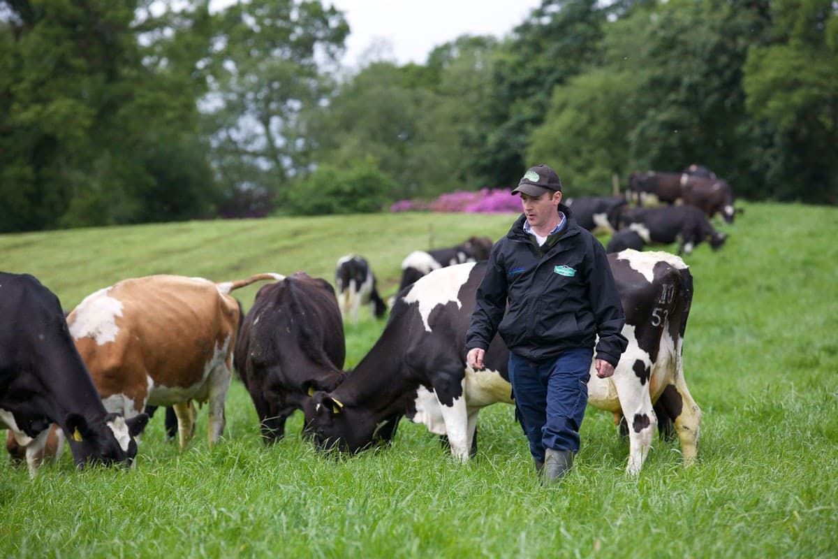 Glenstal Farm Tours