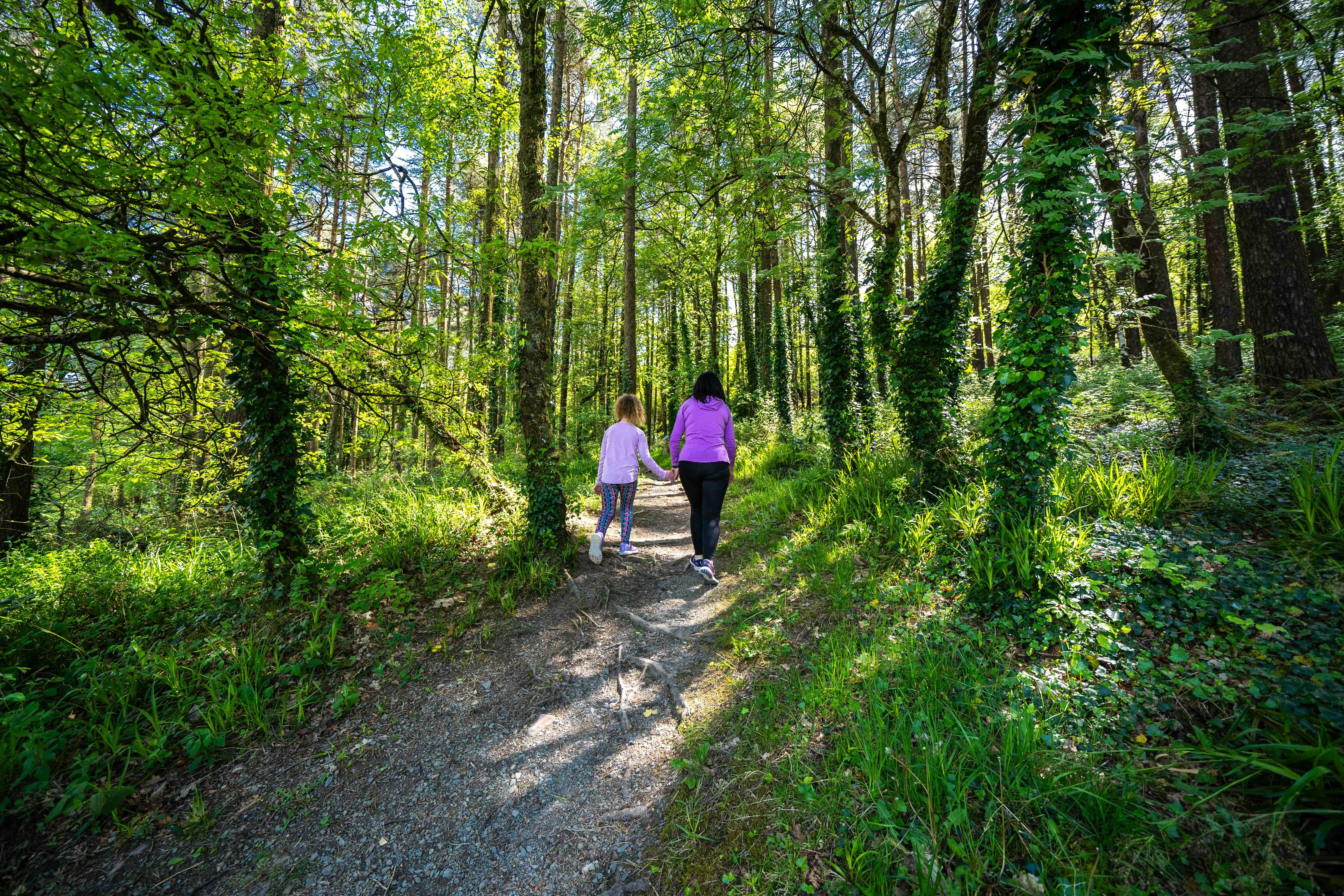 Lyre na Freaghaun (Trim) Trail