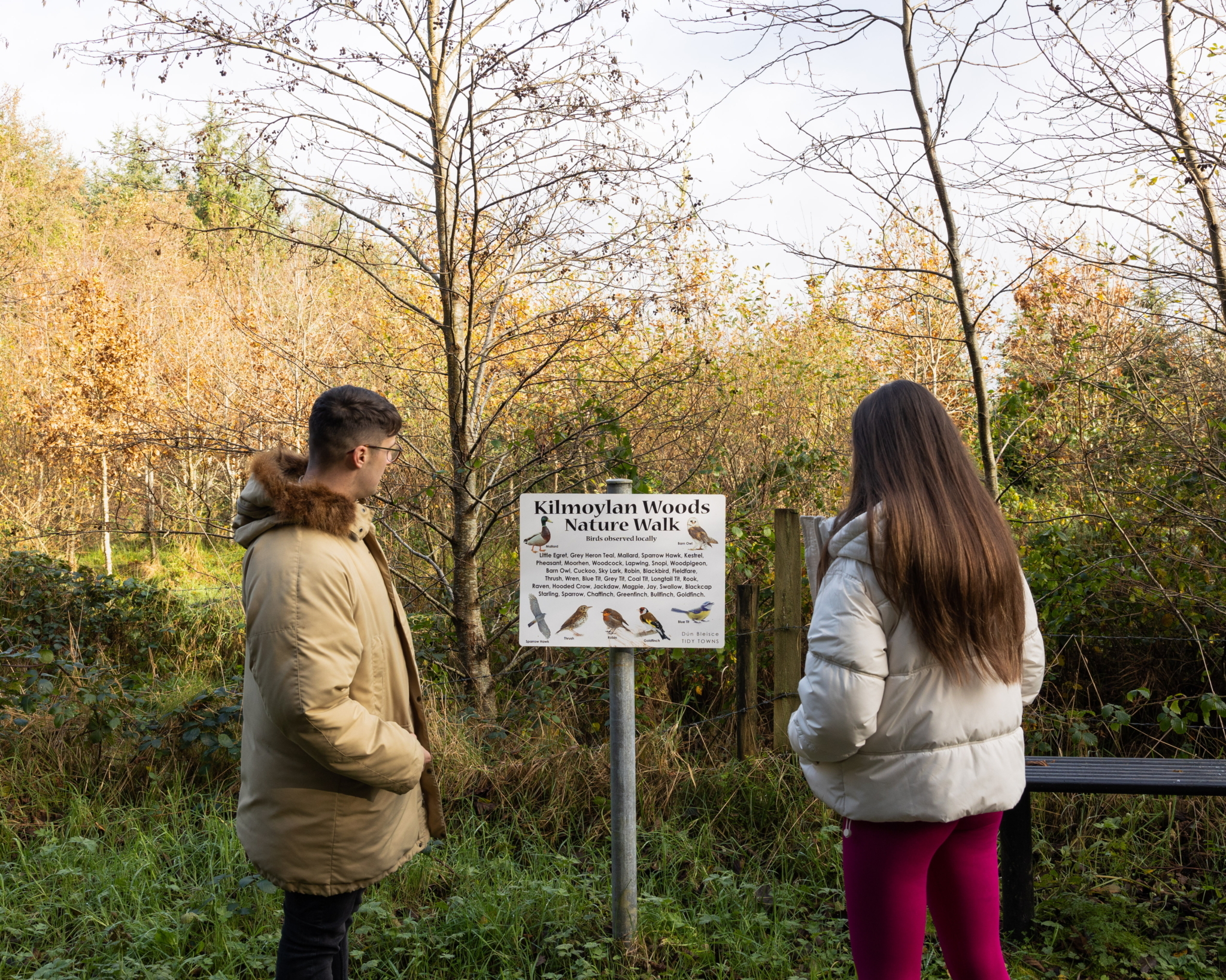 Kilmoylan Woods Nature Walk Limerick on Foot 4