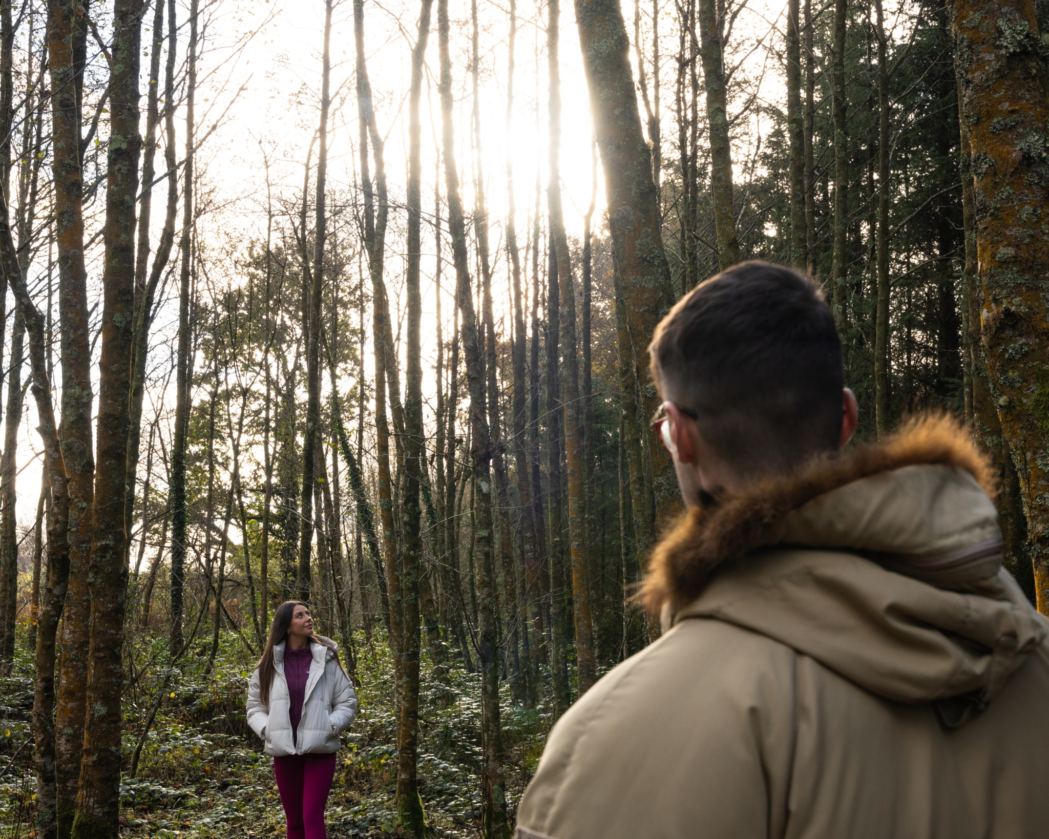 Kilmoylan Woods Nature Walk Limerick on Foot 5