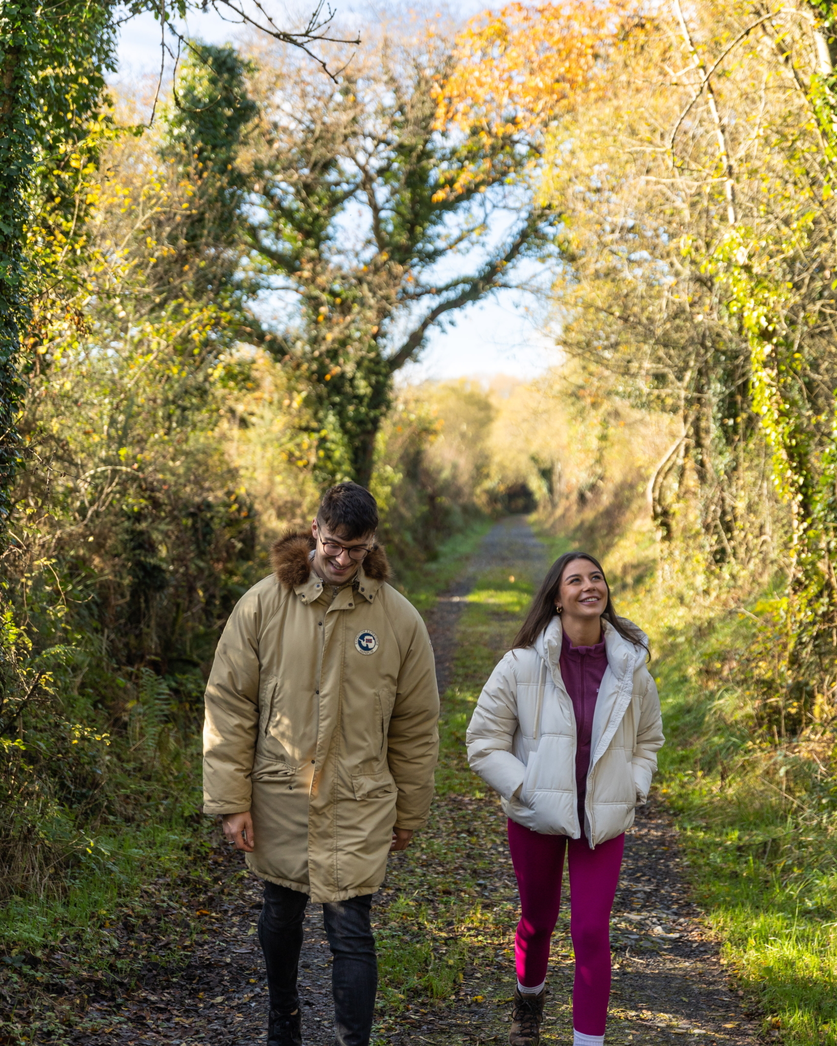 Kilmoylan Woods Nature Walk Limerick on Foot 6