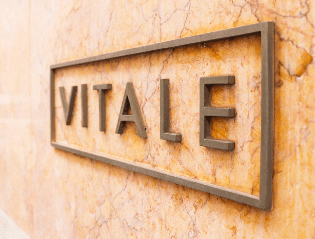 vitale imag news letter