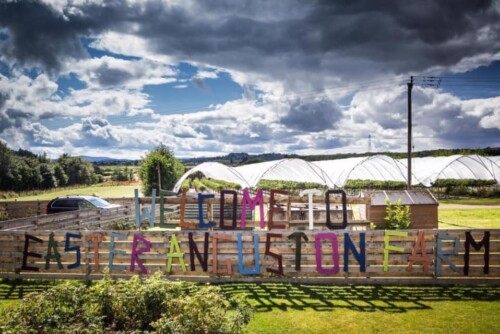 Easter Anguston Farm to reopen to the public