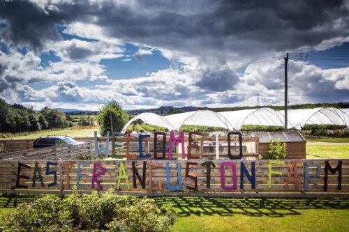 Easter Anguston Farm to reopen to the public