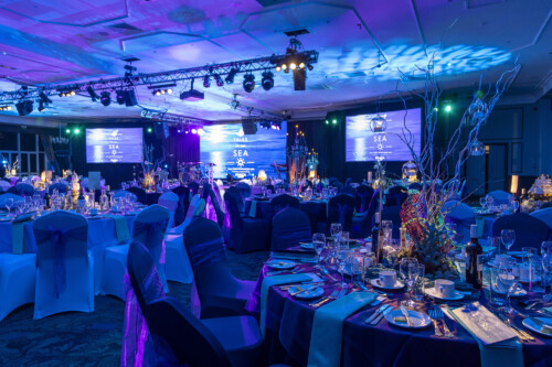 In Pictures: VSA's 2025 Fundraising Ball