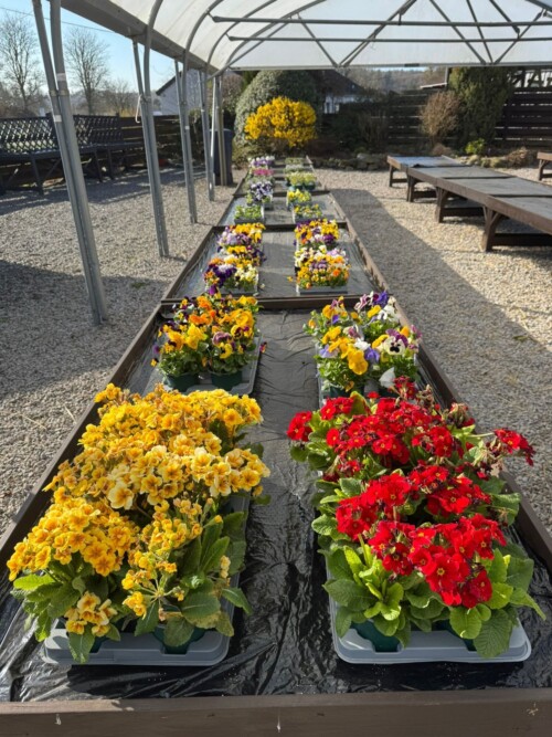 Spring has sprung at the Garden Centre!