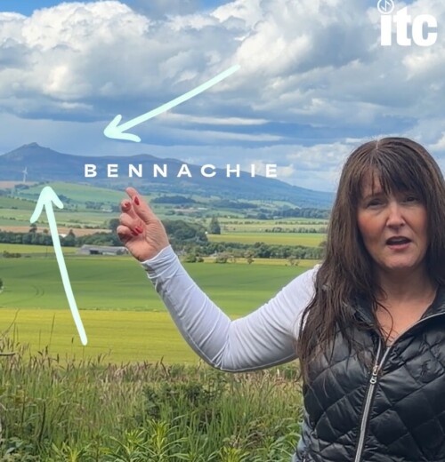 tracy-website-graphic.jpg