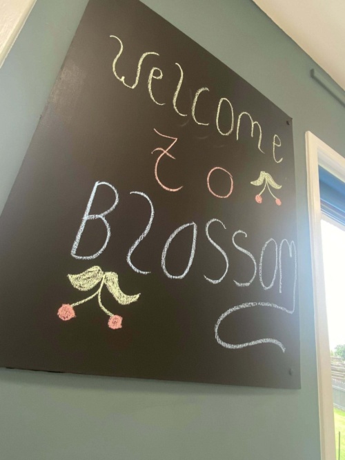 blossom-general-5.jpg