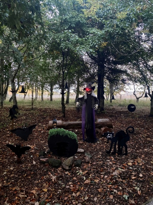 farm-halloween-web4.jpg
