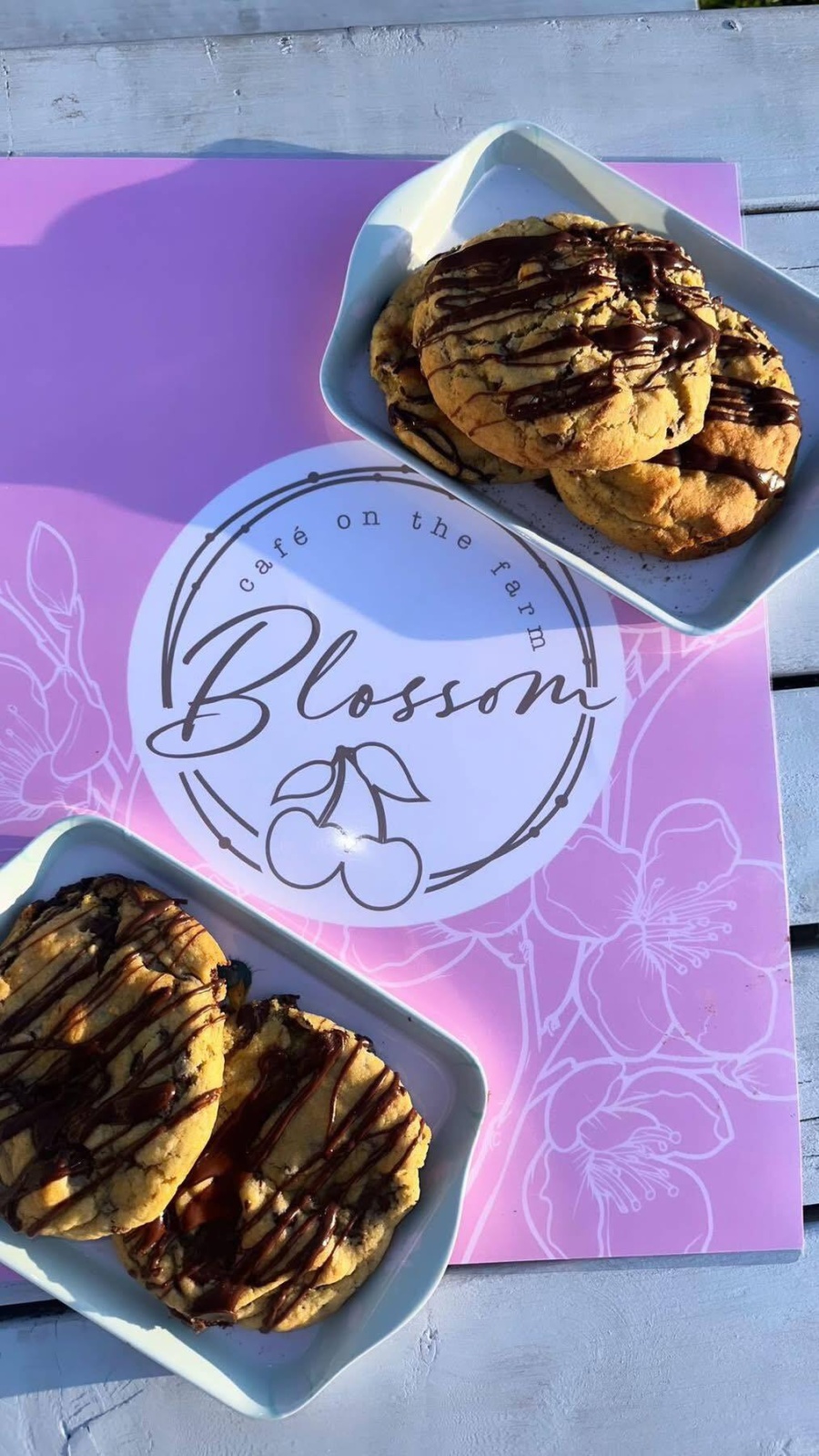 blossom-general-2.jpg