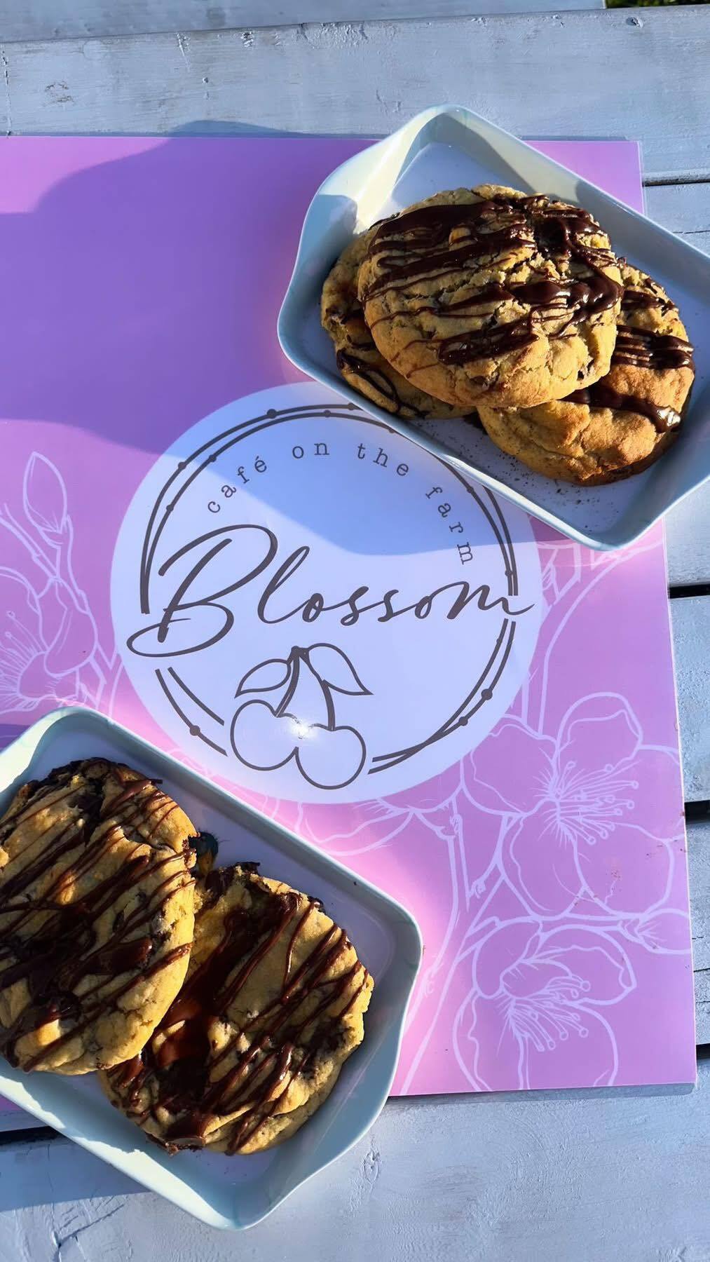 blossom-general-2.jpg