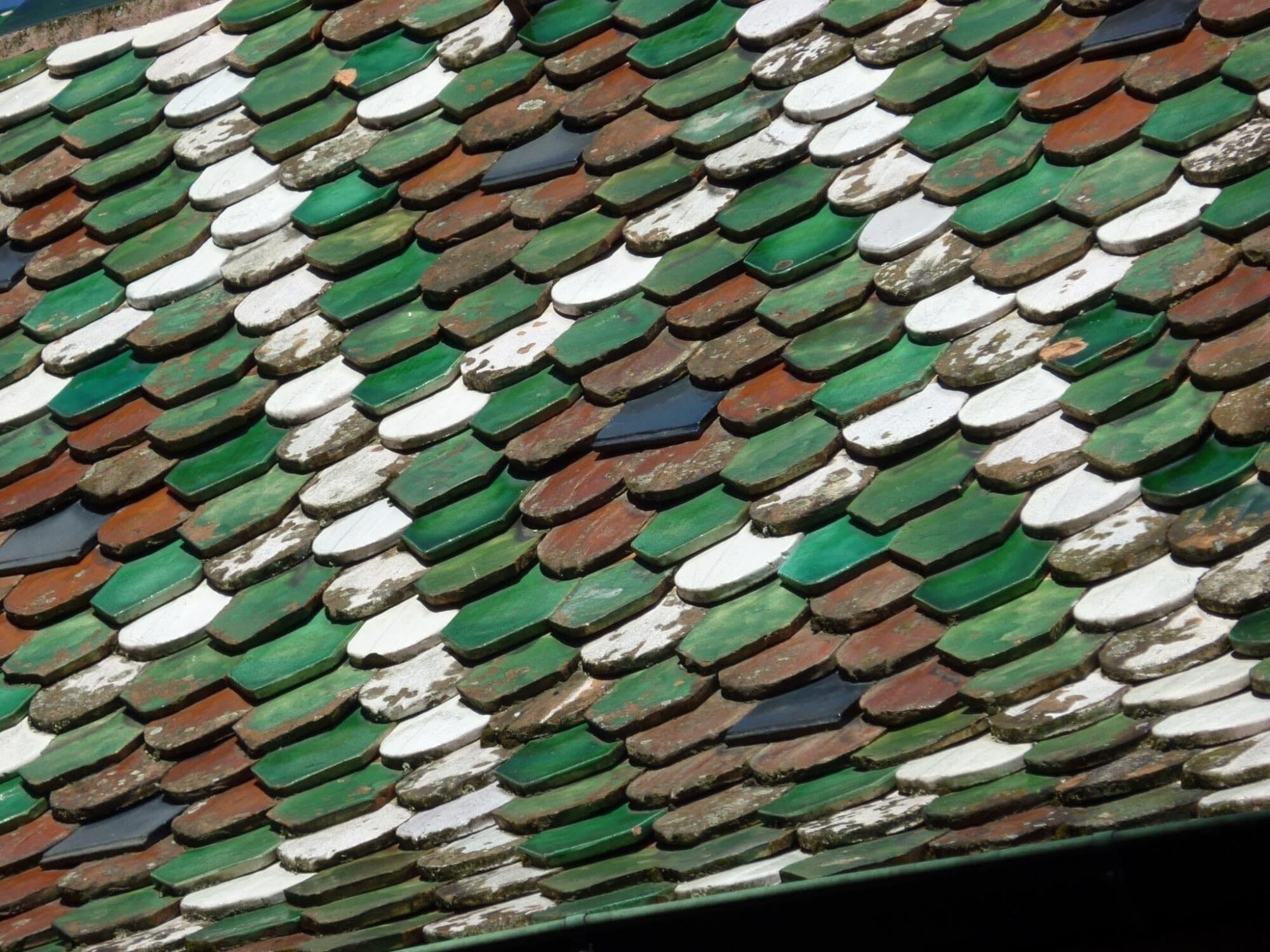 Photo 14 11 2023 17 04 26