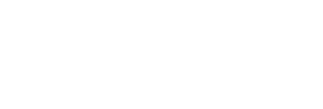 IP Fabric