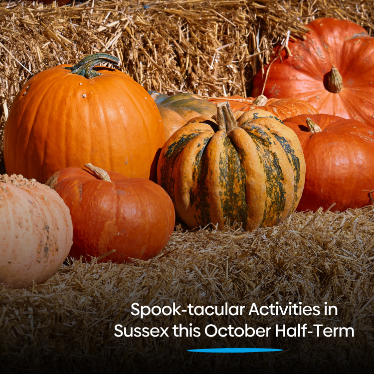 Spook-tacular Things to Do in Sussex This October Half-Term