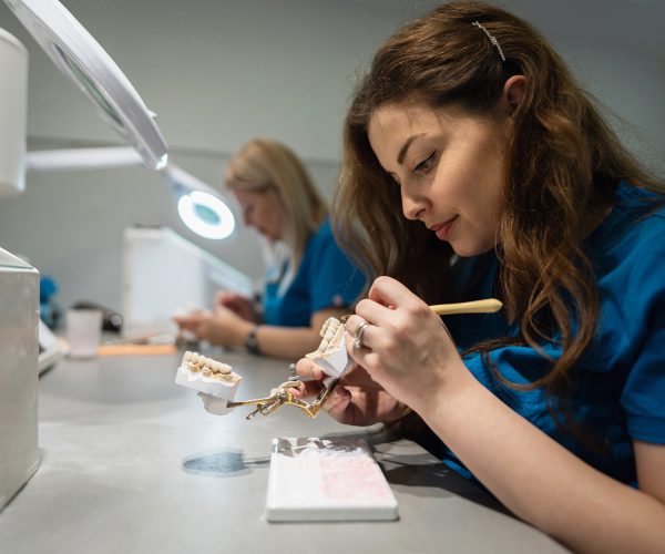 Dental nurse working on a dental model at a workstation while another colleague works in the background