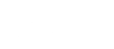 Leaders