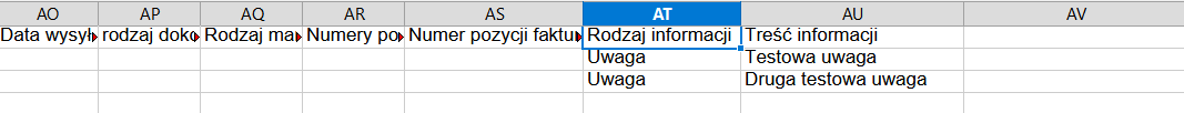 Plik eksportu faktur w formacie XLS z kolumnami rodzaj informacji i treść informacji dla uwag przypisanych do dokumentu.