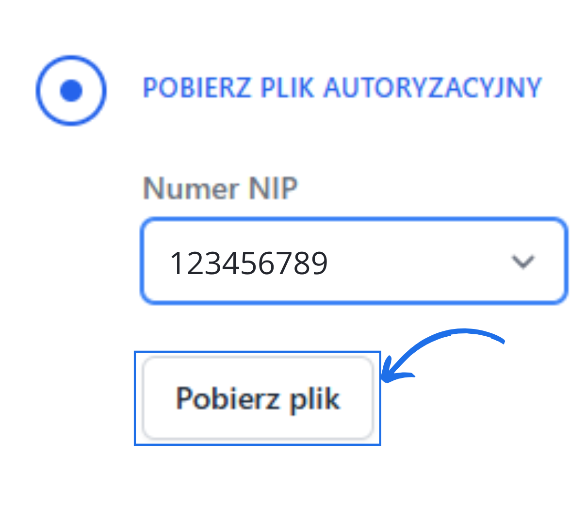 Pobierz plik” w sekcji generowania pliku autoryzacyjnego dla wybranego numeru NIP w integracji KSeF (DEMO) w Fakturowni.