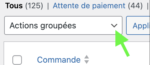 Facturer plusieurs commandes Woo Woocommerce module plugin