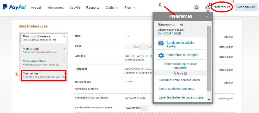 Facturation Paiement en Ligne PayPal Intégration Préférences API Vente Ecommerce