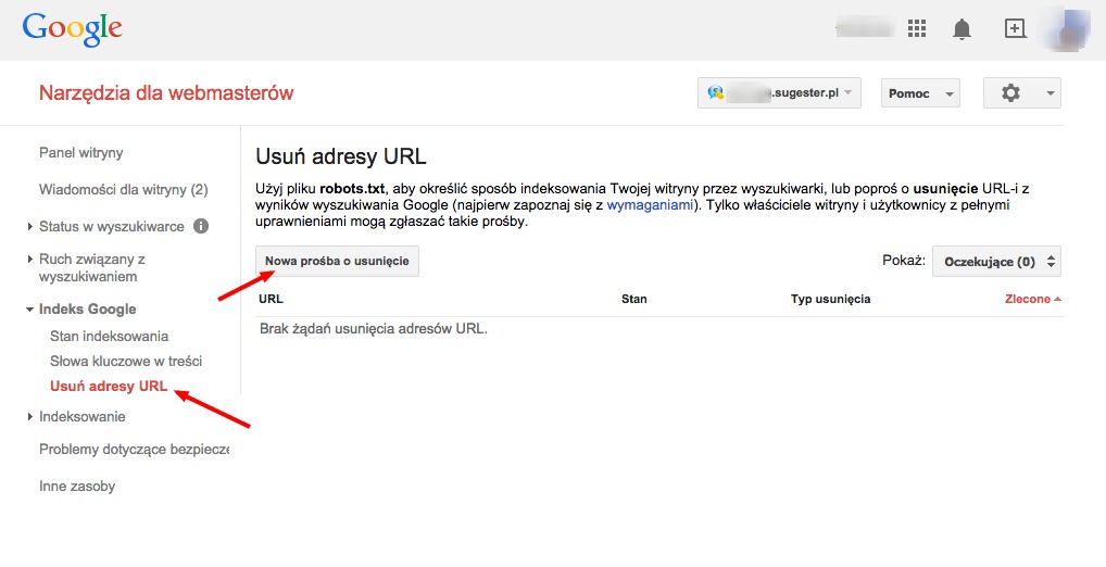 sugester google webmasters usuwanie url