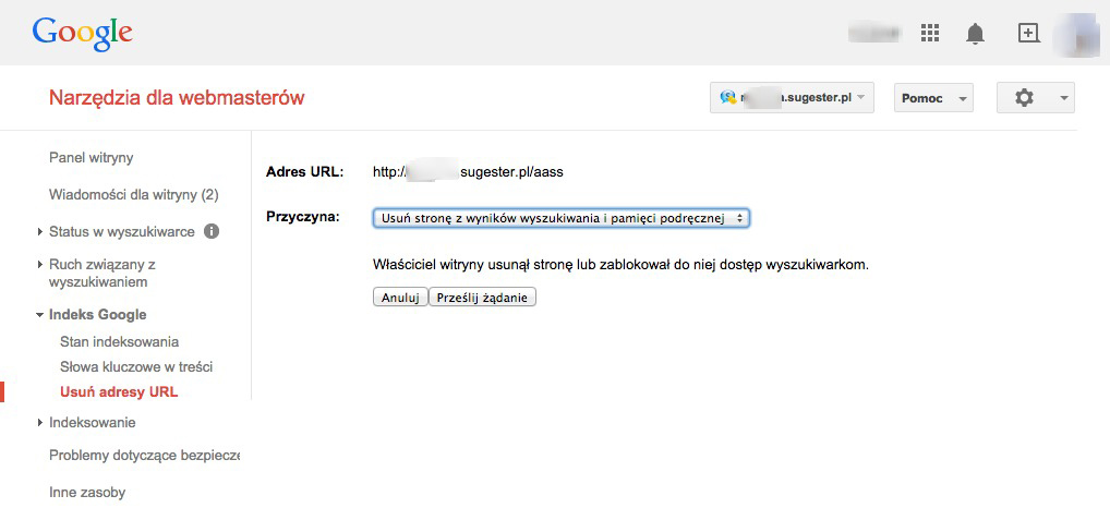 sugester google webmasters usuwanie url 2