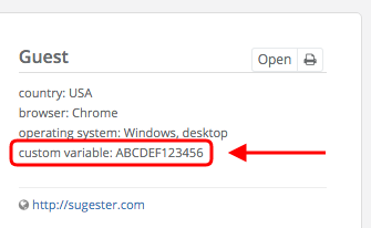 Example custom variable in Sugester live chat