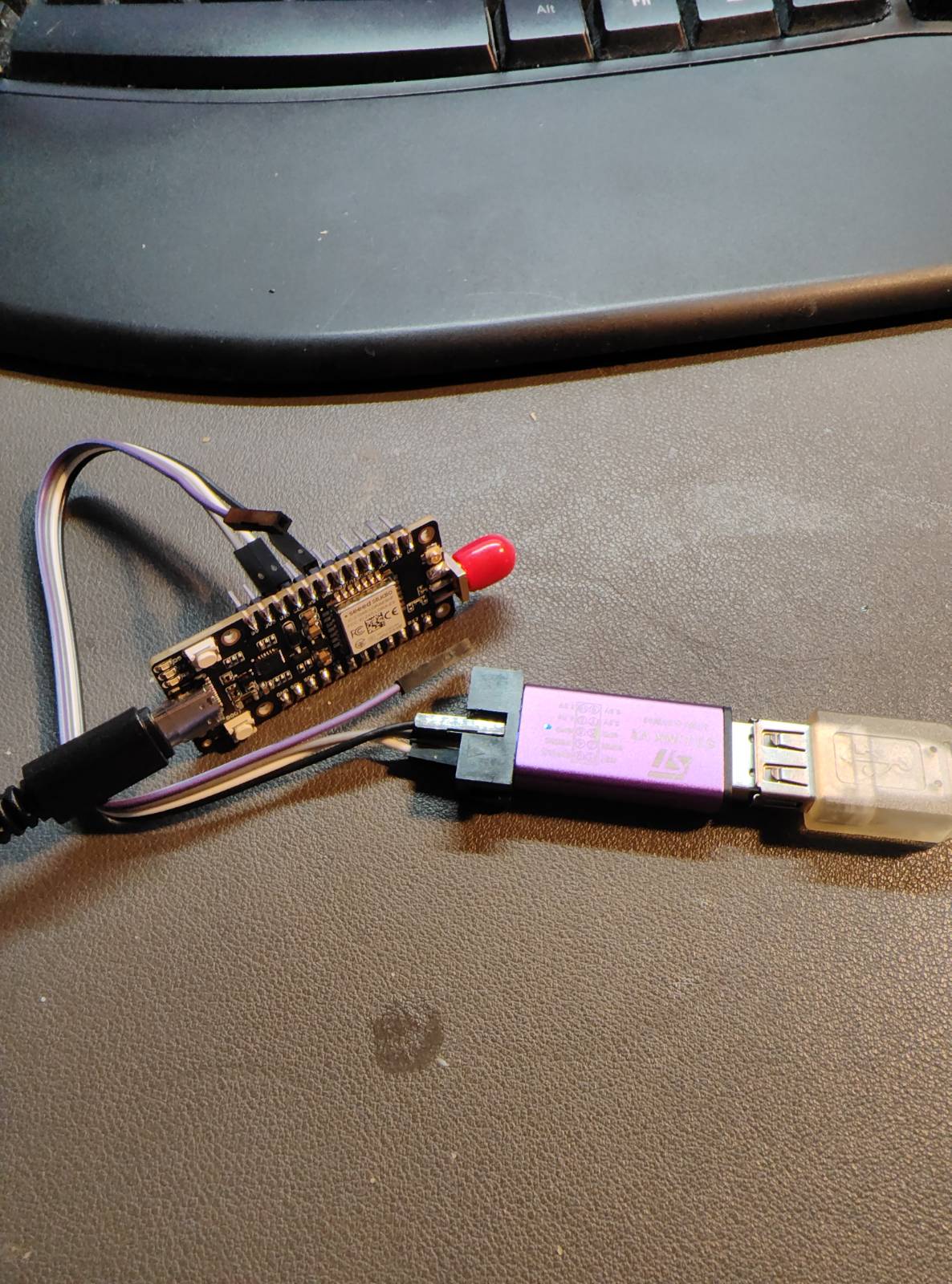 Prototyp czujnika liścia VineyardElf