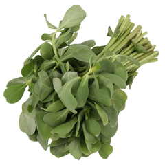 رجلة