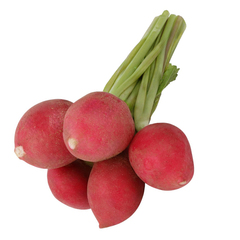 فجل أحمر