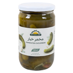 خيار عضوي مخمر