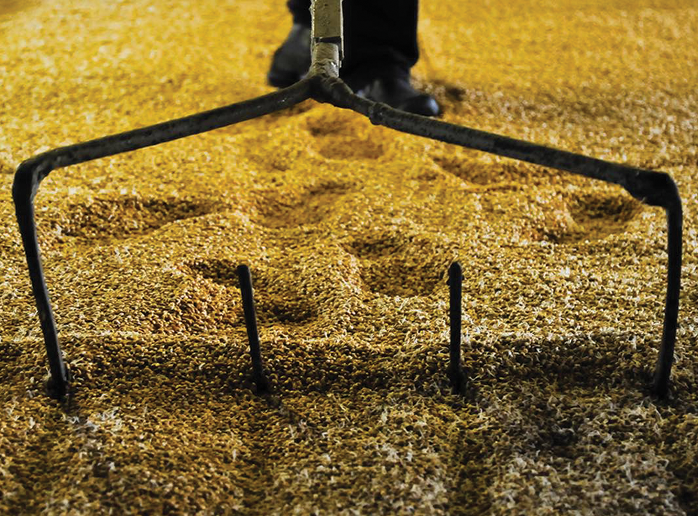 Ballantine's Scotch Whisky Malting Process