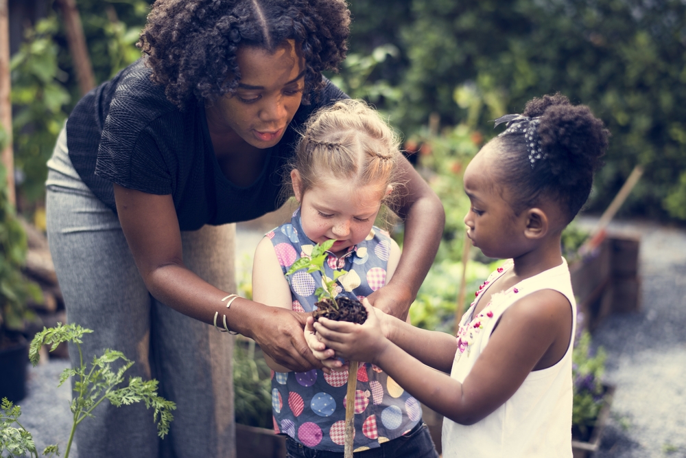More information about "Why Representation Matters in Primary Schools"