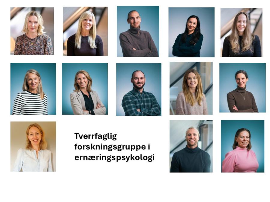 Tverrfaglig forskningsgruppe