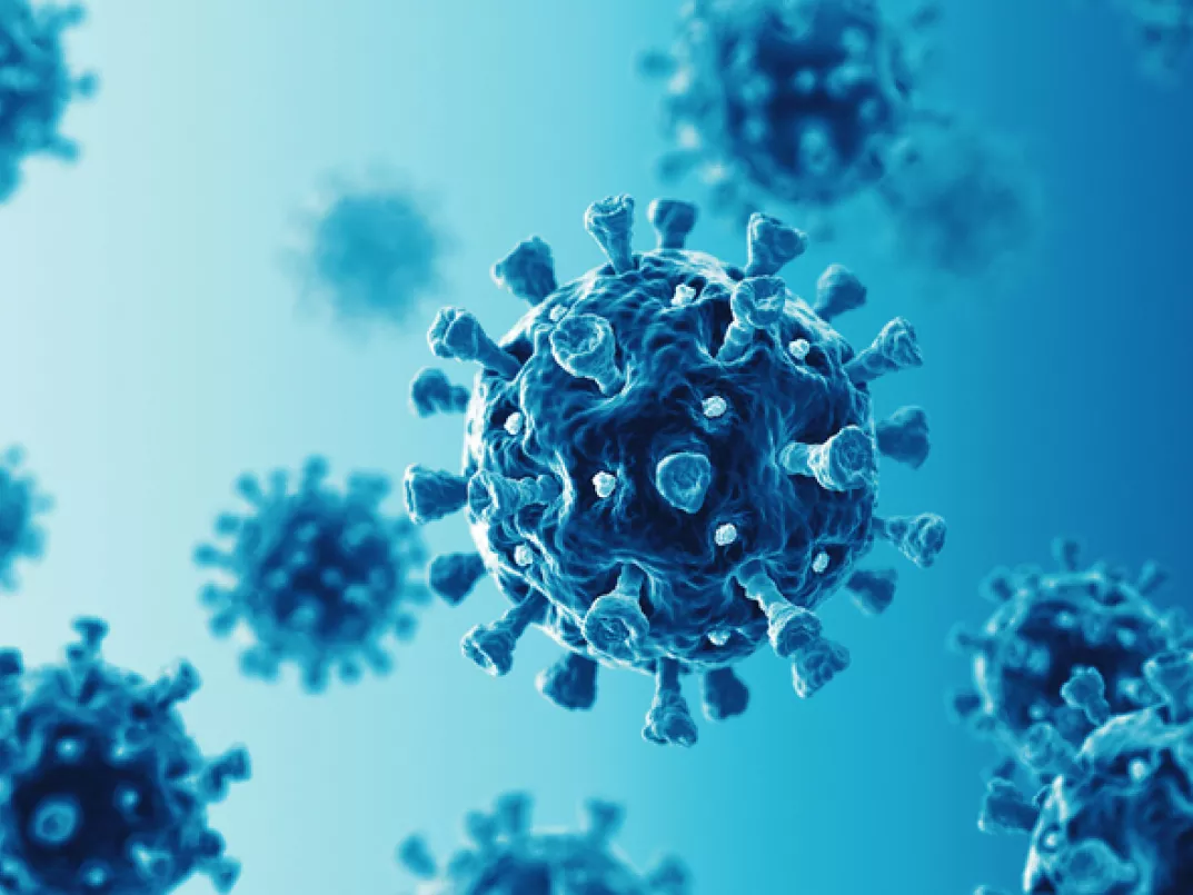 Covid-19 virus