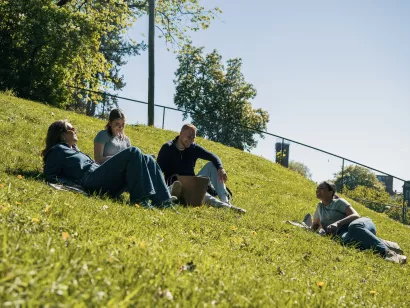 studenter fra onh ligger på gresset i parken
