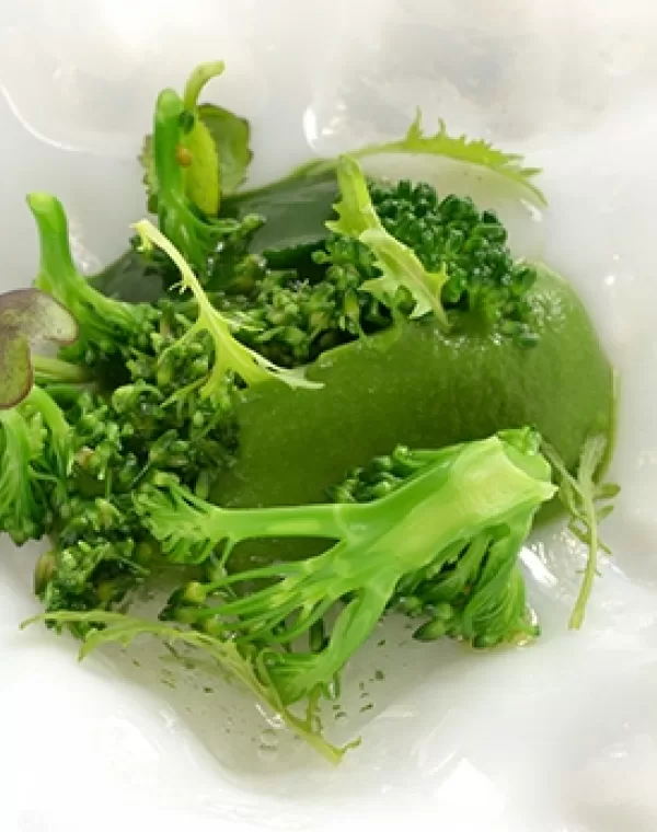 Puré de Bimi® brócoli
